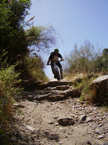 MTB Sierra Nevada: rider descending perfect trails.
